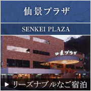 仙景プラザ
