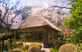山家荘